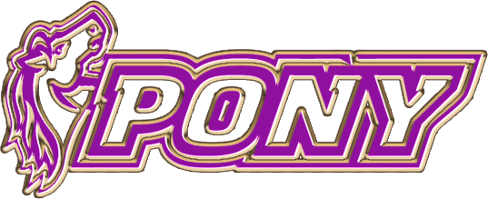 포니 PONY 먹튀확정 먹튀사이트 토토먹튀 주소 토토 카지노 벳큐