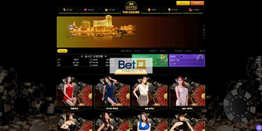 팀카지노 TIMCASINO 먹튀검증 주소 가입코드 추천인 도메인 토토 꽁머니