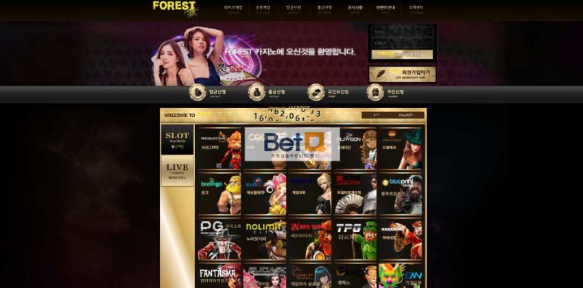 포레스트 FOREST 먹튀검증 주소 가입코드 추천인 도메인 토토 꽁머니