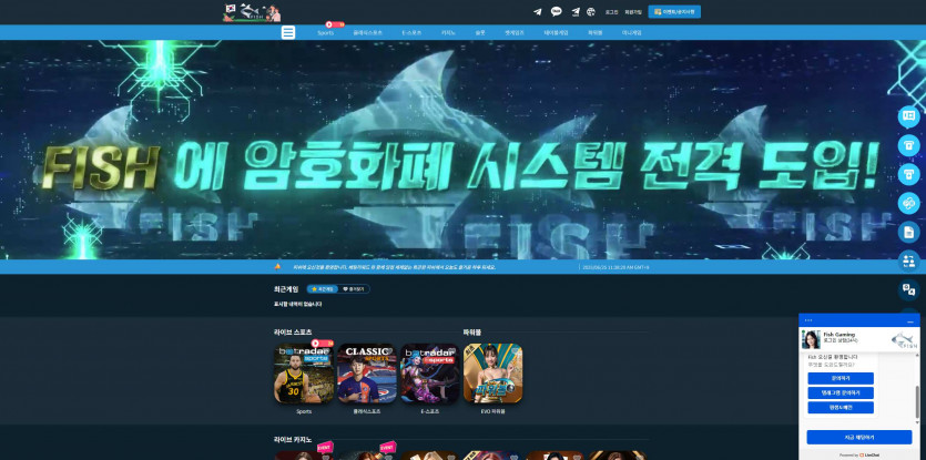 피쉬 FISH 주소 가입코드 추천인 도메인 토토 꽁머니